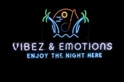 Vibez and emotions logo