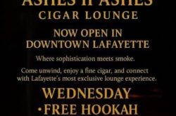 Ashes II Ashes is opened